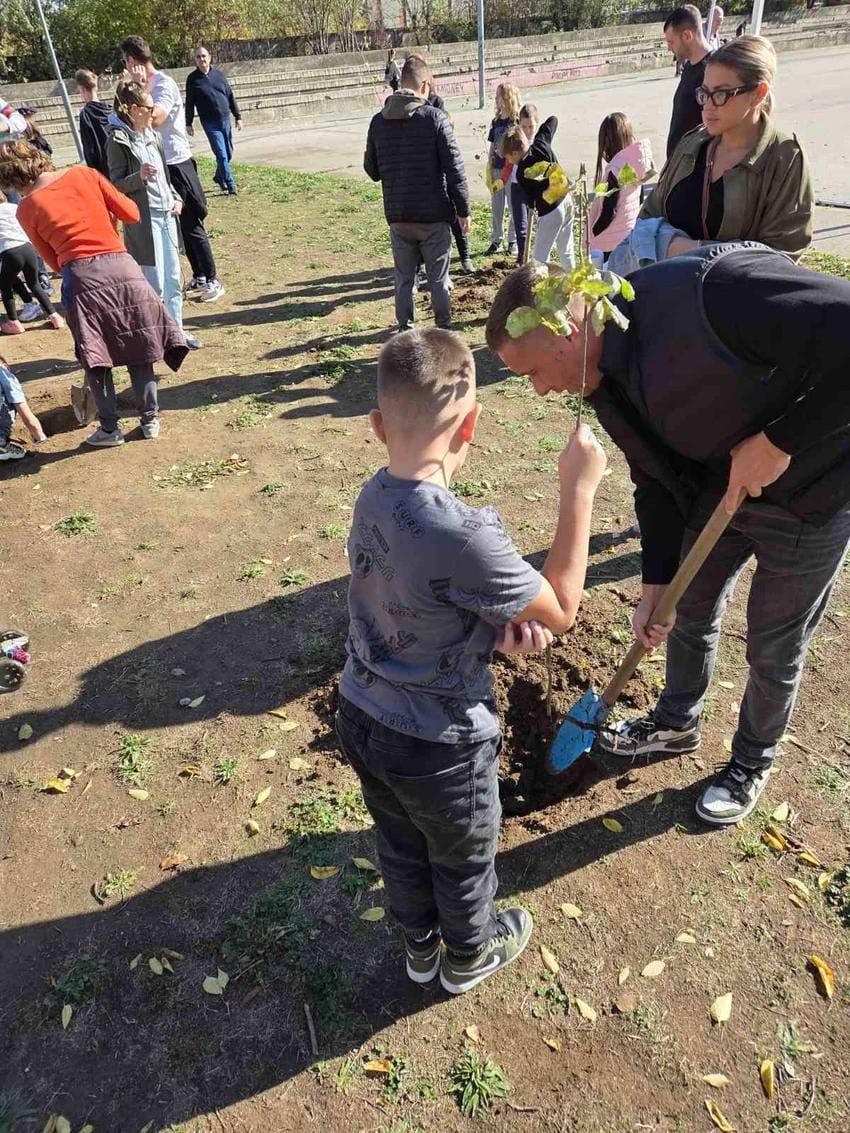 Во дворе школы в 64-м блоке Нового Белграда высадили 100 деревьев.