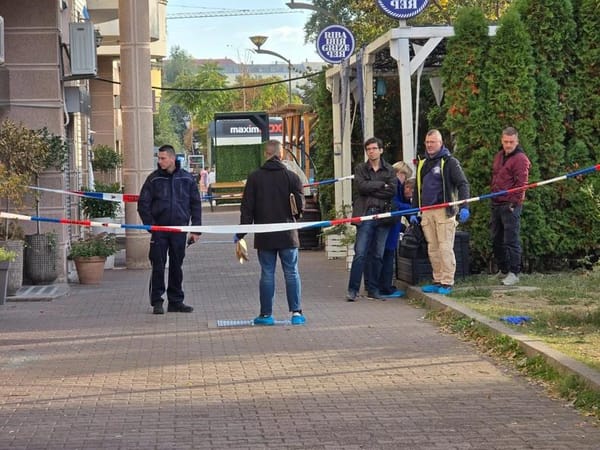 Мертвый младенец обнаружен прямо на улице в Нови-Саде.