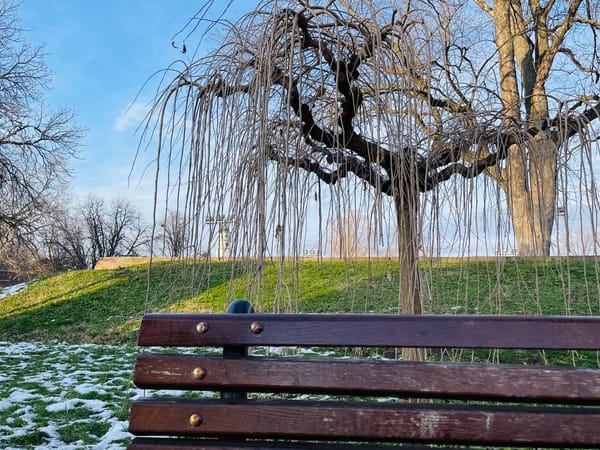 В Сербии начался сезон гриппоподобных заболеваний, но пока без повода для тревоги.