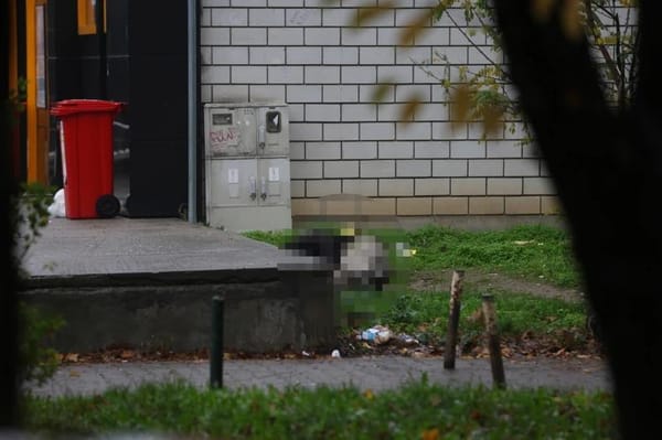 Лидер фанатов "Партизана" из Земуна убит в Новом Белграде.